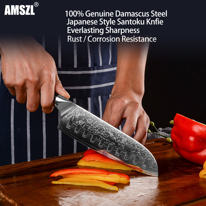 AMSZL 7 inch Damascus Japanese Chef Knife Santoku Knife DM-GS004-1