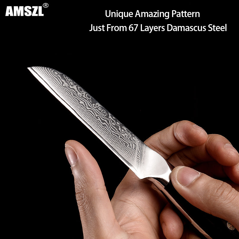 AMSZL 3.5 inch Damascus Paring Knife DM-GS007-1